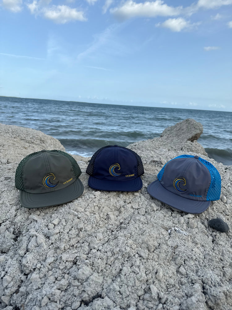 DERIVA Collection